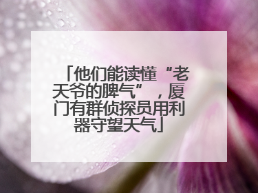 他们能读懂“老天爷的脾气”，厦门有群侦探员用利器守望天气