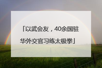 以武会友，40余国驻华外交官习练太极拳