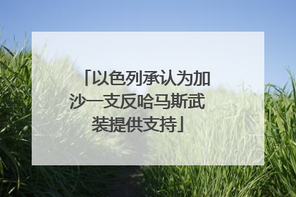以色列承认为加沙一支反哈马斯武装提供支持