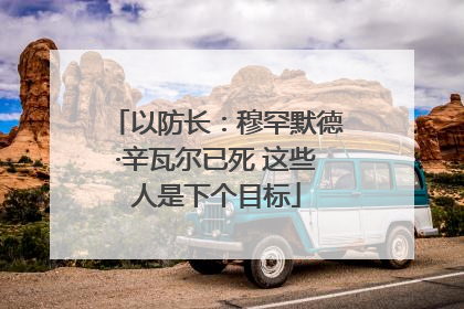 以防长：穆罕默德·辛瓦尔已死 这些人是下个目标