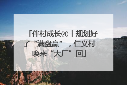 伴村成长④丨规划好了“满盘赢”，仁义村唤来“大厂”回