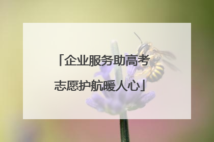 企业服务助高考 志愿护航暖人心