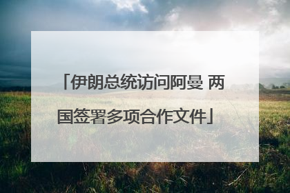 伊朗总统访问阿曼 两国签署多项合作文件
