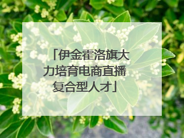 伊金霍洛旗大力培育电商直播复合型人才