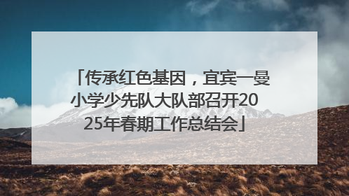 传承红色基因，宜宾一曼小学少先队大队部召开2025年春期工作总结会