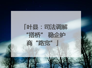 叶县：司法调解“搭桥” 稳企护商“路宽”