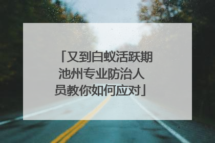 又到白蚁活跃期 池州专业防治人员教你如何应对