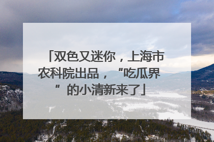 双色又迷你，上海市农科院出品，“吃瓜界”的小清新来了