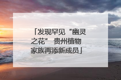 发现罕见“幽灵之花” 贵州植物家族再添新成员