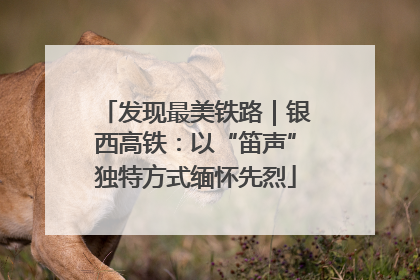 发现最美铁路｜银西高铁：以“笛声”独特方式缅怀先烈