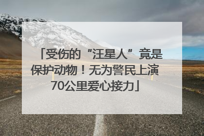 受伤的“汪星人”竟是保护动物！无为警民上演70公里爱心接力