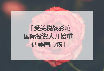 受关税战影响 国际投资人开始重估美国市场
