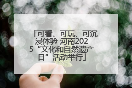 可看、可玩、可沉浸体验 河南2025“文化和自然遗产日”活动举行