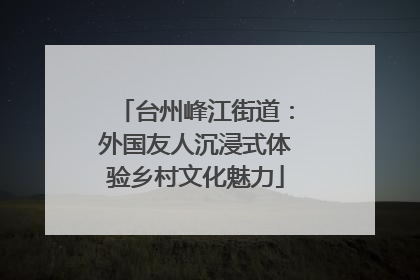 台州峰江街道：外国友人沉浸式体验乡村文化魅力