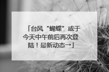 台风“蝴蝶”或于今天中午前后再次登陆！最新动态→