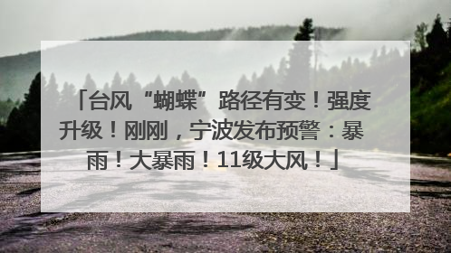 台风“蝴蝶”路径有变！强度升级！刚刚，宁波发布预警：暴雨！大暴雨！11级大风！
