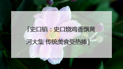 史口镇：史口烧鸡香飘黄河大集 传统美食受热捧