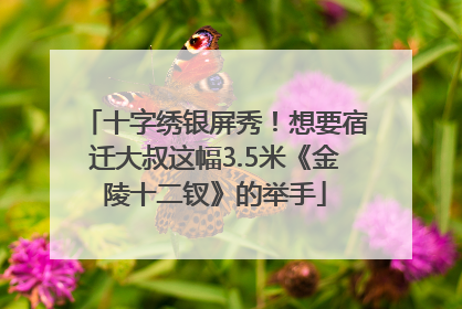十字绣银屏秀！想要宿迁大叔这幅3.5米《金陵十二钗》的举手