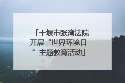 十堰市张湾法院开展“世界环境日”主题教育活动