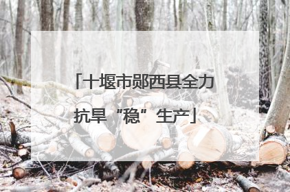 十堰市郧西县全力抗旱“稳”生产