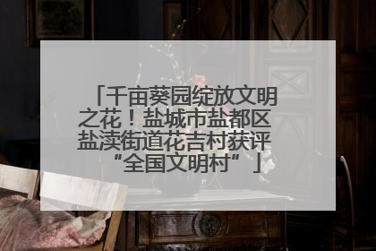 千亩葵园绽放文明之花！盐城市盐都区盐渎街道花吉村获评“全国文明村”