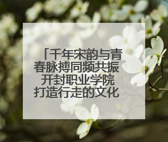 千年宋韵与青春脉搏同频共振 开封职业学院打造行走的文化课堂