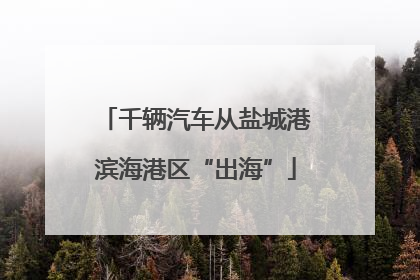 千辆汽车从盐城港滨海港区“出海”