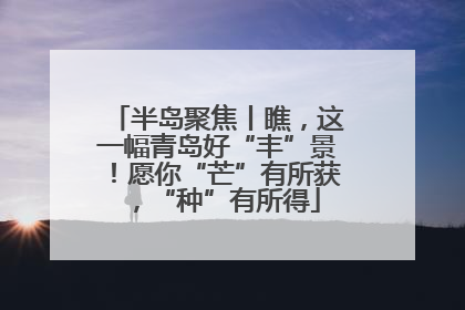 半岛聚焦丨瞧，这一幅青岛好“丰”景！愿你“芒”有所获，“种”有所得