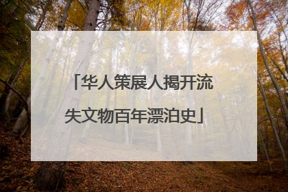 华人策展人揭开流失文物百年漂泊史