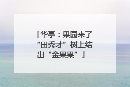 华亭：果园来了“田秀才”树上结出“金果果”