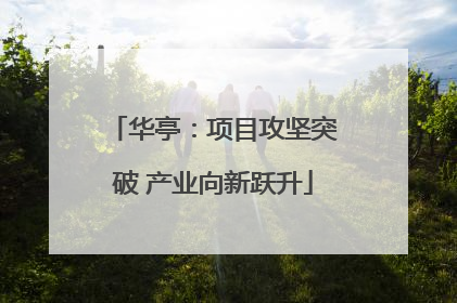 华亭：项目攻坚突破 产业向新跃升