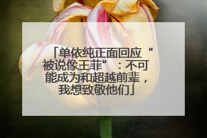 单依纯正面回应“被说像王菲”：不可能成为和超越前辈，我想致敬他们
