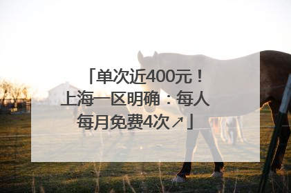 单次近400元！上海一区明确：每人每月免费4次↗