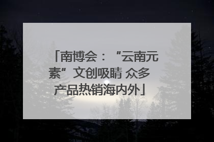 南博会：“云南元素”文创吸睛 众多产品热销海内外