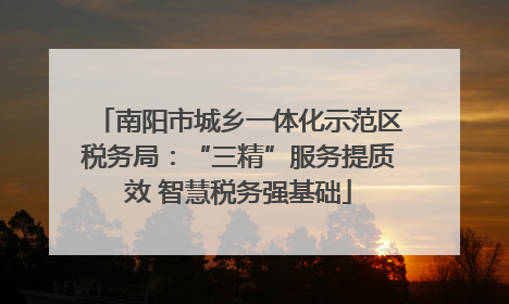 南阳市城乡一体化示范区税务局：“三精”服务提质效 智慧税务强基础