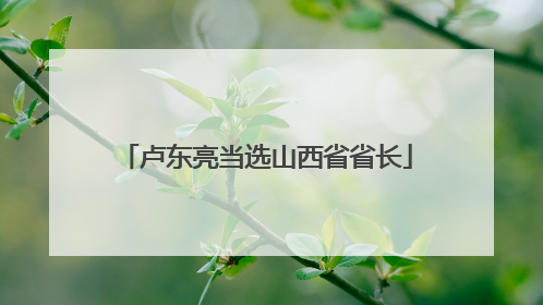 卢东亮当选山西省省长
