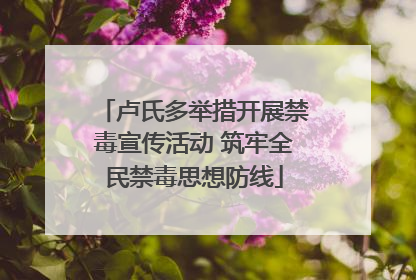 卢氏多举措开展禁毒宣传活动 筑牢全民禁毒思想防线