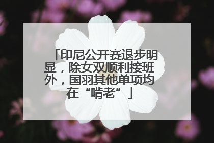 印尼公开赛退步明显，除女双顺利接班外，国羽其他单项均在“啃老”