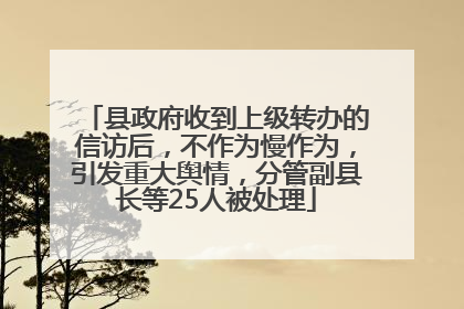 县政府收到上级转办的信访后，不作为慢作为，引发重大舆情，分管副县长等25人被处理