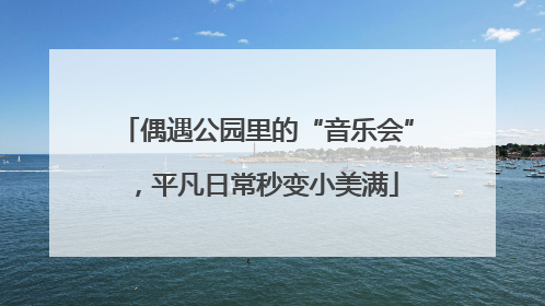 偶遇公园里的“音乐会”，平凡日常秒变小美满