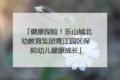 健康探险！乐山城北幼教育集团青江园区保障幼儿健康成长