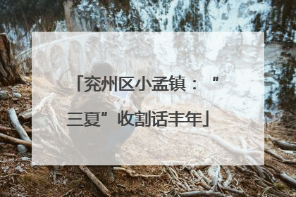 兖州区小孟镇：“三夏”收割话丰年