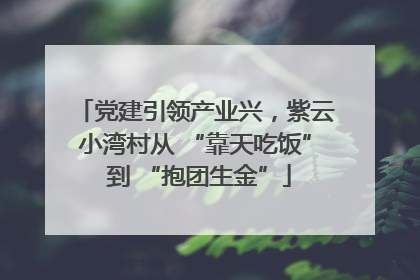 党建引领产业兴，紫云小湾村从 “靠天吃饭” 到 “抱团生金”