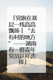 党旗在基层一线高高飘扬丨“去有村的地方”——湖南有一群青年党员这样选择