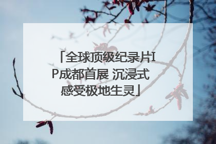 全球顶级纪录片IP成都首展 沉浸式感受极地生灵