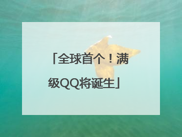 全球首个！满级QQ将诞生