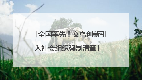 全国率先！义乌创新引入社会组织强制清算