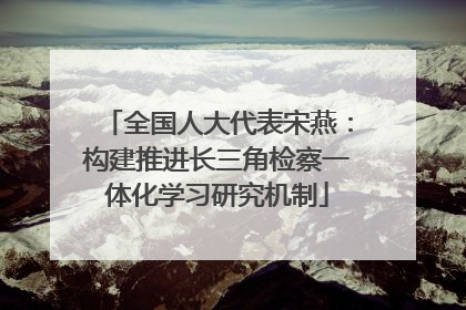 全国人大代表宋燕：构建推进长三角检察一体化学习研究机制