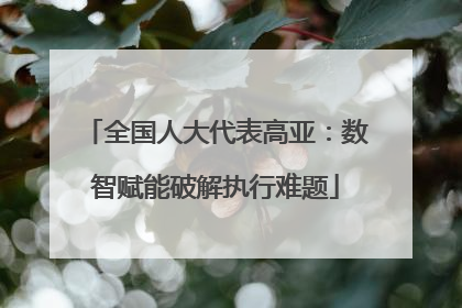 全国人大代表高亚：数智赋能破解执行难题