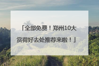 全部免费！郑州10大赏荷好去处推荐来啦！